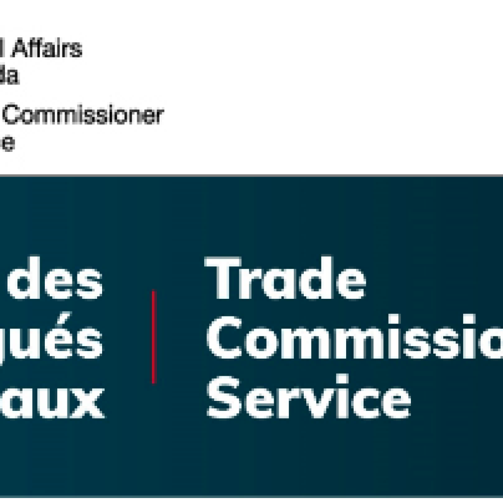 CanExport &#x1f91d; SDC-TCS/CANADA *TRADE COMMISSIONER SERVICE/ SERVICE DES DÉLÉGUÉS COMMERCIAUX*&#x1f449;“La période de présentation des demandes de financement CanExport a commencé! ” &#x270d;&#xfe0f;”CanExport funding applications are open!  ”/ POWERED BY: JOAMA CONSULTING–FEB. 21, 2023