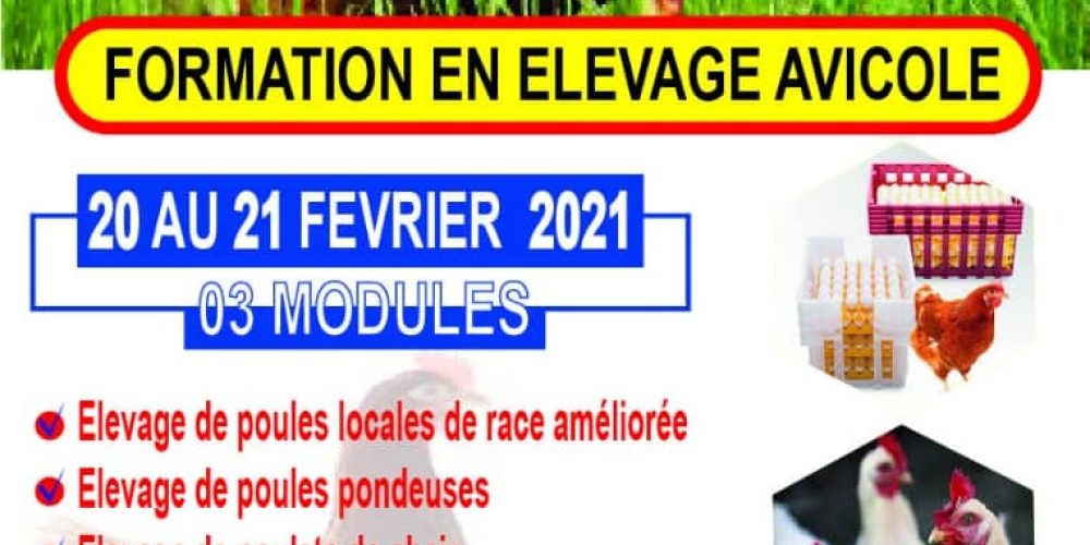 Vignette d'entrée
